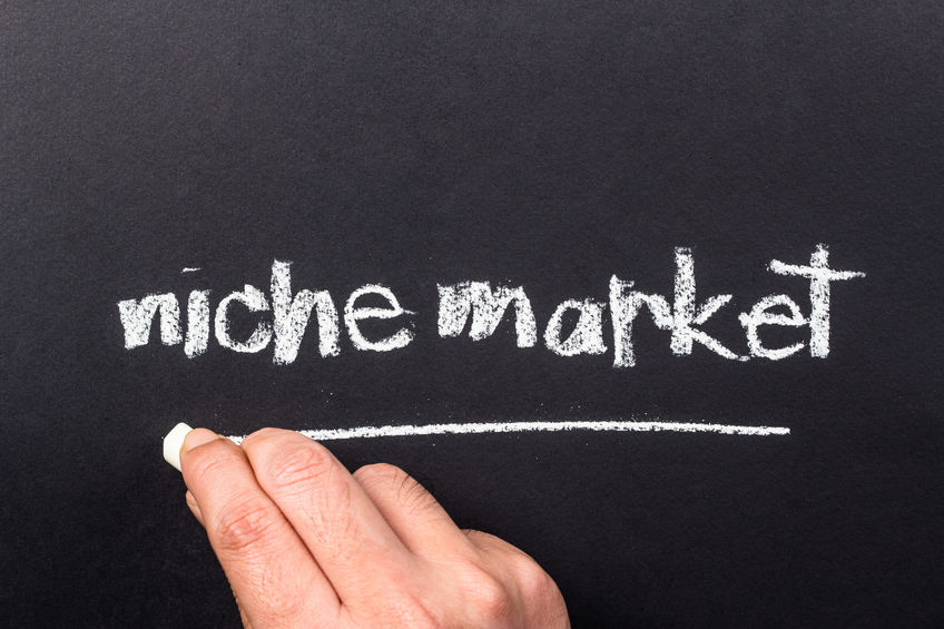 Become a specialist in a niche