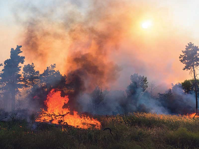 Climate risk disclosure needed
