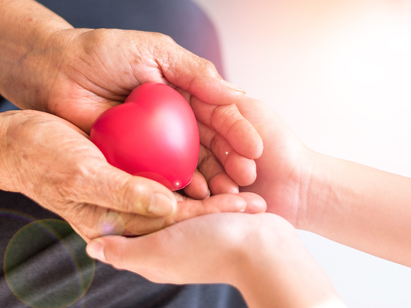 Caregiver, carer hand holding elder hand woman in hospice care. Philanthropy kindness to disabled concept.Public Service Recognition Week (Caregiver, carer hand holding elder hand woman in hospice care. Philanthropy kindness to disabled concept.Public