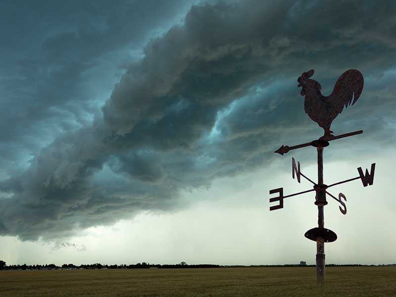 dark skies on a farm