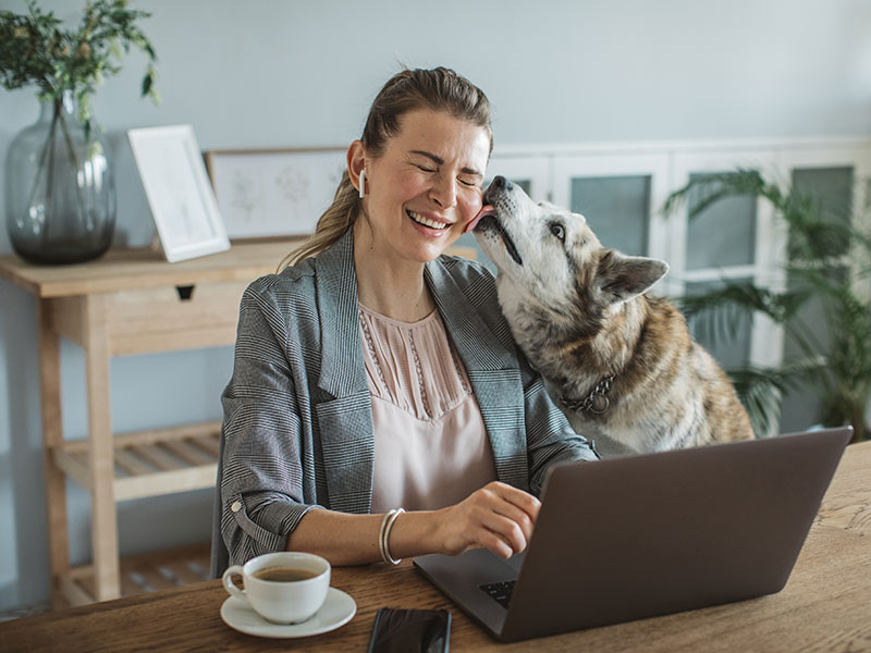 woman working from home with her dog
