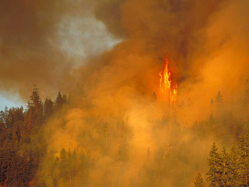 British Columbia wildfires