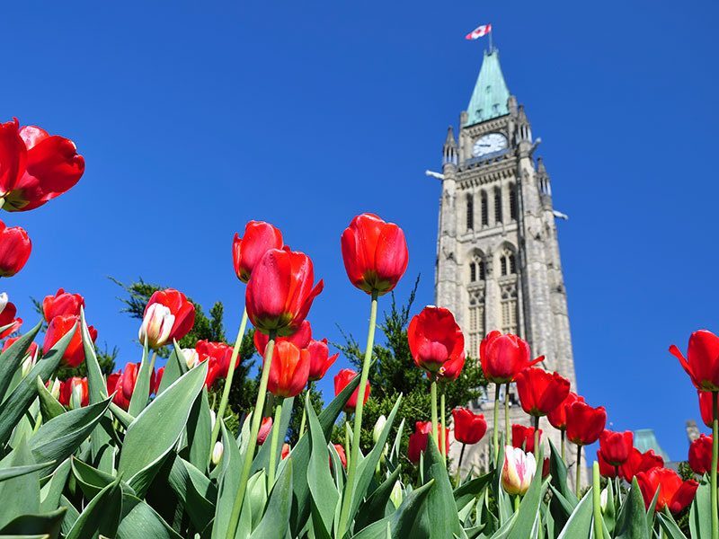 Canadian Parliament in Ottawa