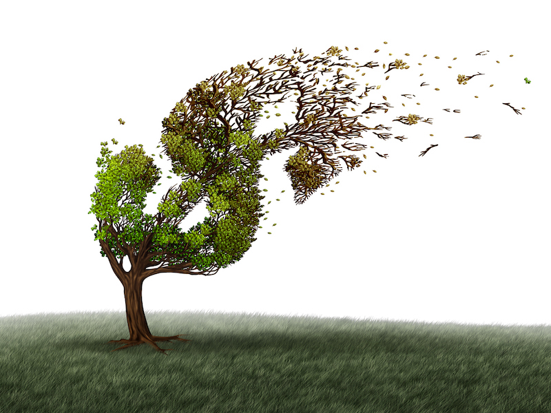 Tree blowing dollars