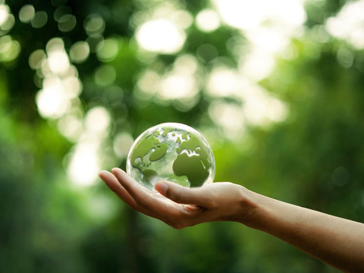 Sustainability