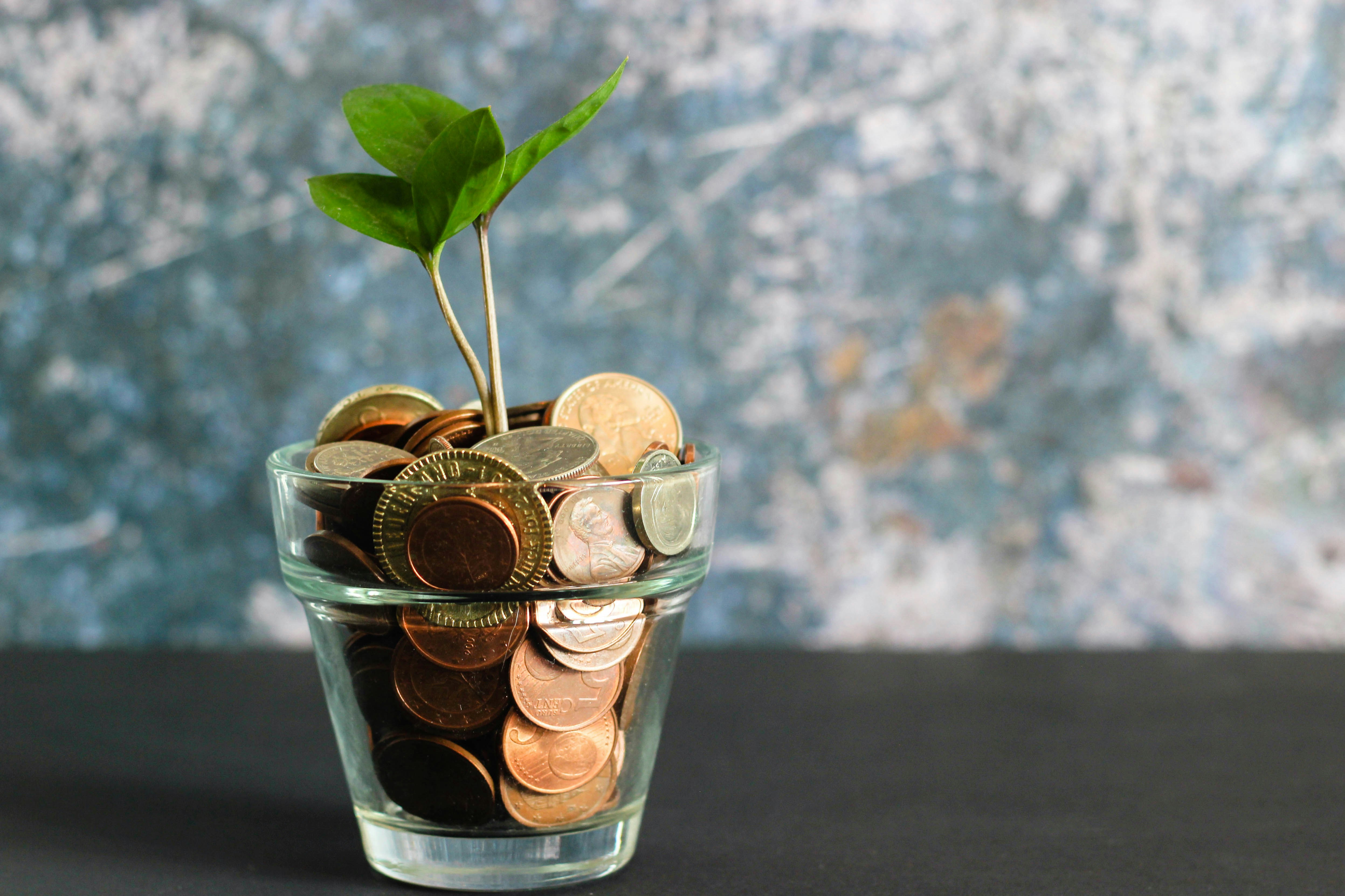 A plant growing from a jar of coins — symbolising income growth